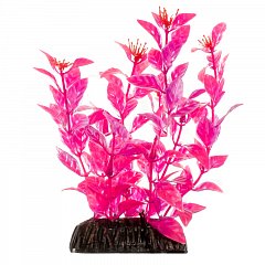 Растение "Людвигия" ярко-розовая, 200мм, Laguna фото