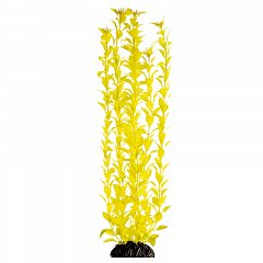 Растение "Людвигия" ярко-желтая, 500мм, Laguna фото