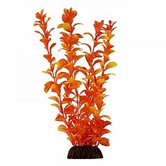 Растение "Людвигия" оранжевая, 550мм, Laguna фото