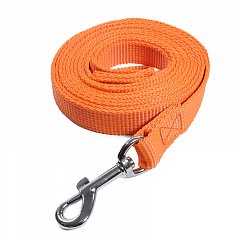 Поводок нейлоновый для собак"Эталон" L, оранжевый, 25*5000мм фото